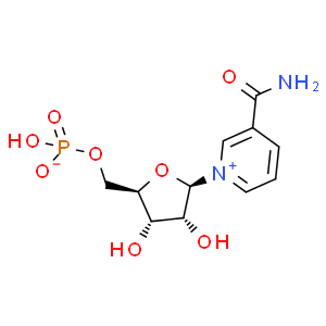 β-煙酰胺單核苷酸；NMN